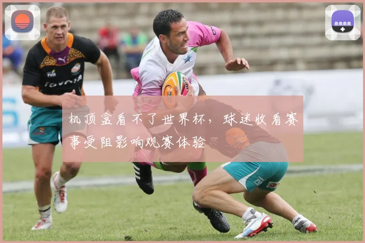 机顶盒看不了世界杯，球迷收看赛事受阻影响观赛体验
