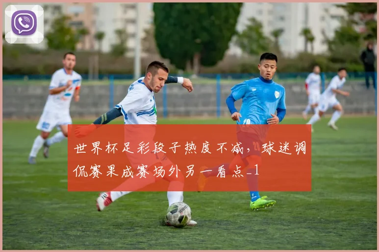 世界杯足彩段子热度不减,球迷调侃赛果成赛场外另一看点_1