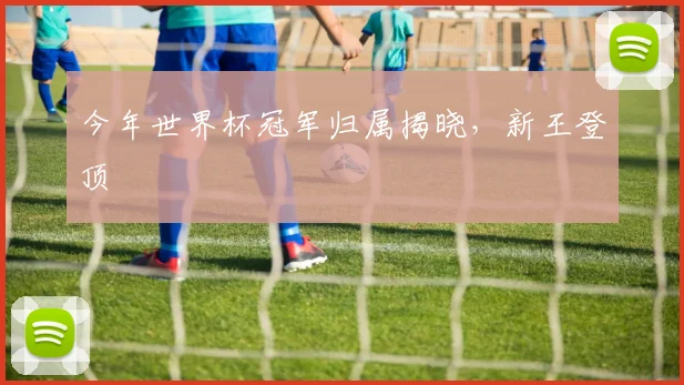 今年世界杯冠军归属揭晓,新王登顶