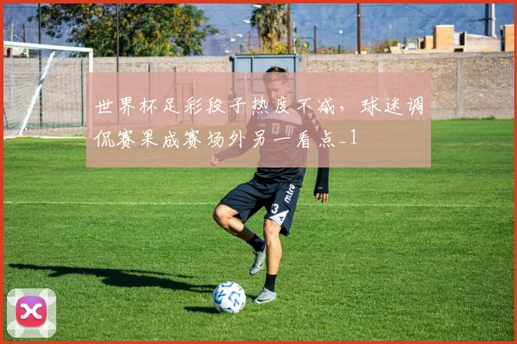 世界杯足彩段子热度不减,球迷调侃赛果成赛场外另一看点_1